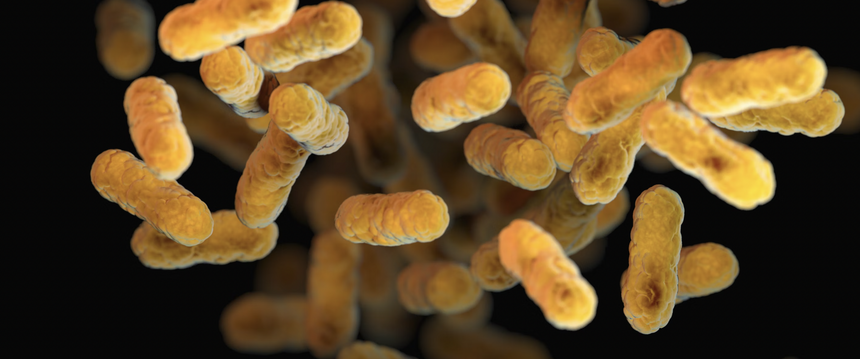 Новая молекула антибиотика способна истребить десятки самых сложных видов супербактерий