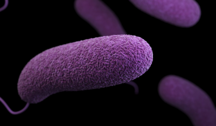 Как бактерии обеспечивают иммунитет против гигантских вирусов