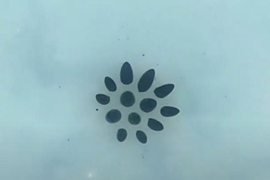 I'll be back: учёные создали «жидкого» робота как в «Терминаторе 2»