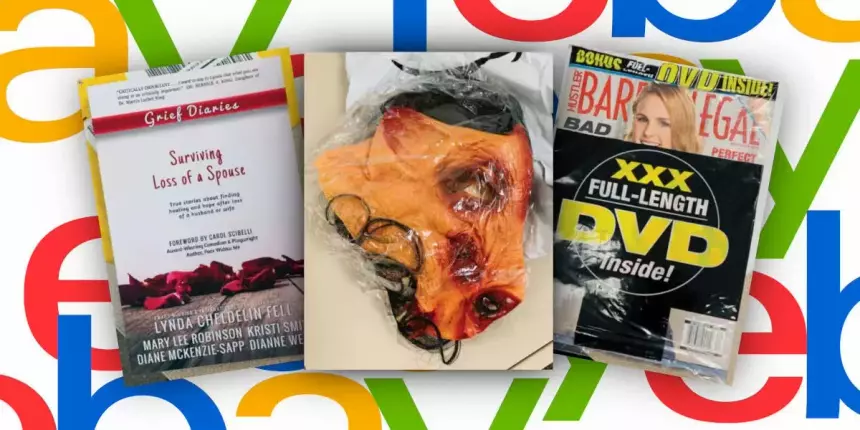 Бывшие руководители eBay получили тюремные сроки за киберпреследование и доставку эмбрионов свиней