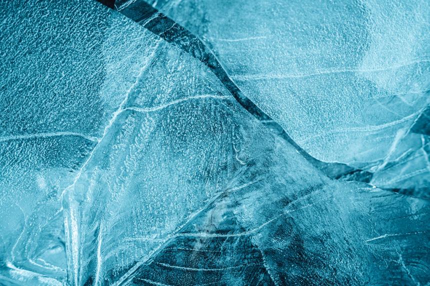 Когда появились первые животные