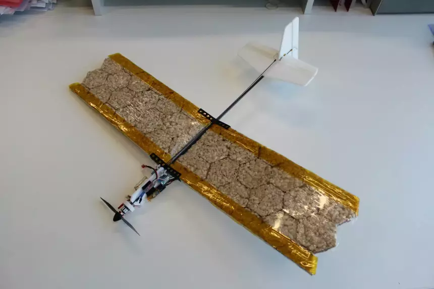 Создан дрон-спасатель со съедобными крыльями