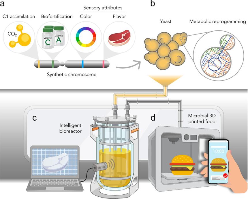 Будущее космической еды: учёные придумали, как кормить людей на других планетах