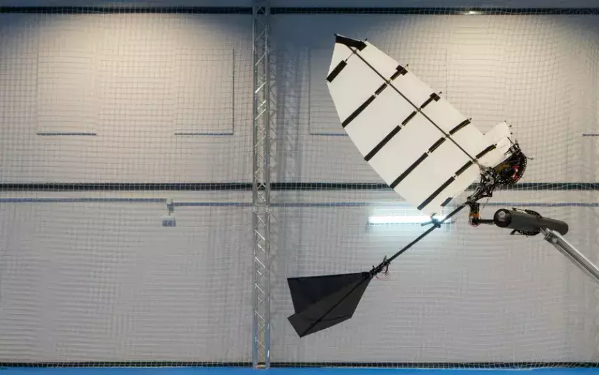 Создан первый в мире робот, умеющий садиться на ветки как птица