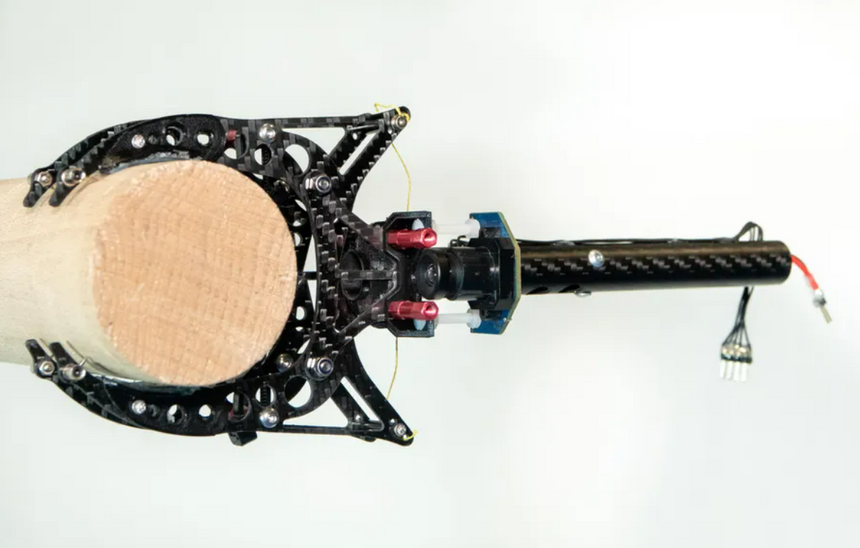 Создан первый в мире робот, умеющий садиться на ветки как птица