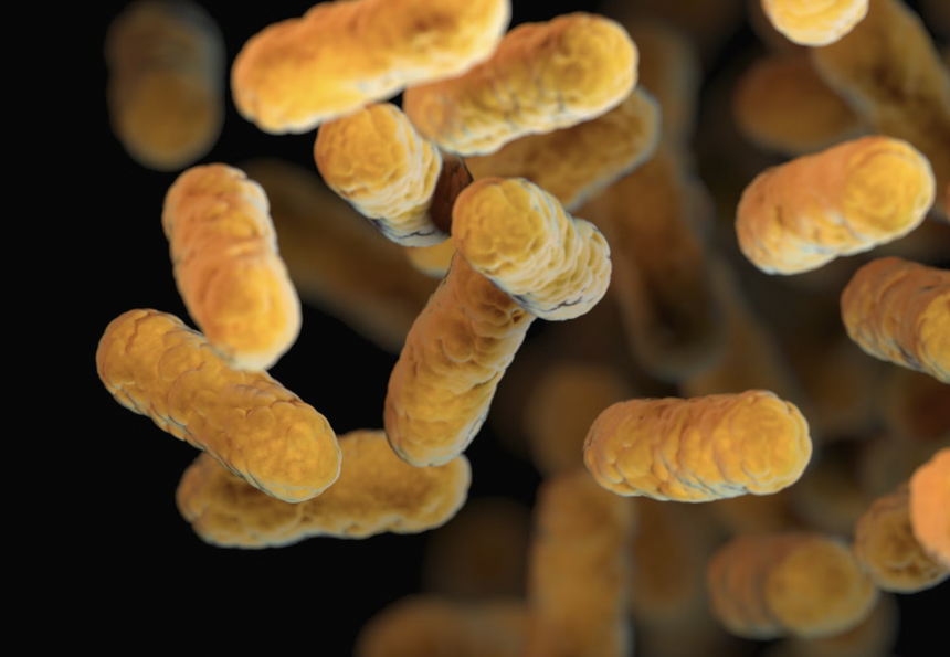 Ученые научились контролировать общение бактерий