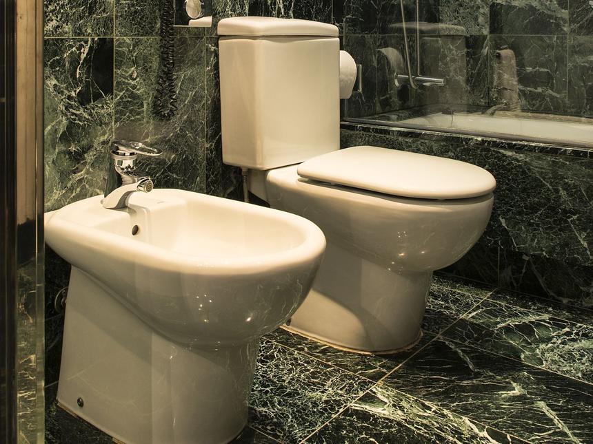 Какой ужас: Евросоюз может наложить санкции на поставку в Россию унитазов