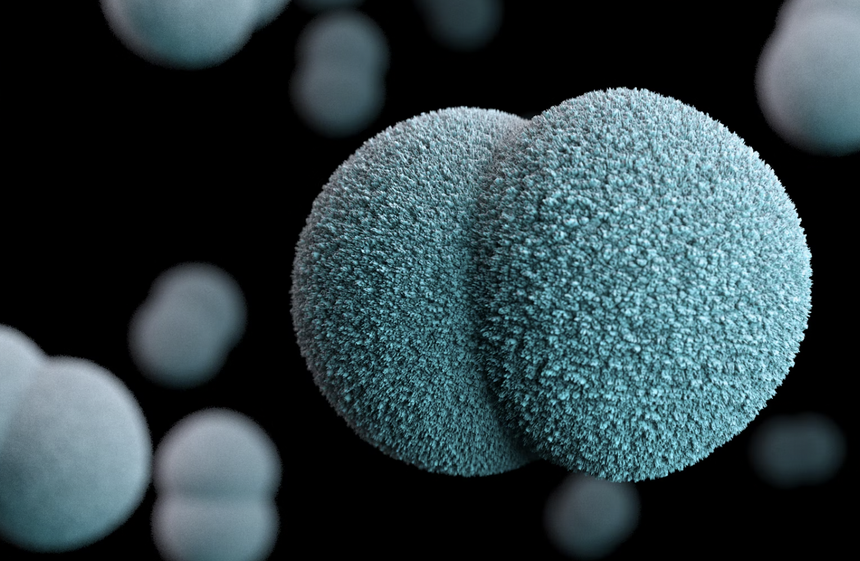 Начало деменции можно понять по этим трем кишечным бактериям