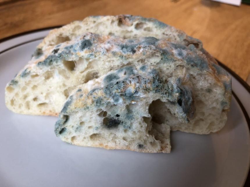 Каким людям смертельно опасно есть хлеб с плесенью