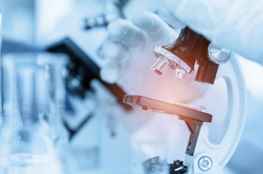 Учёные объяснили, как работает мозг при голодании