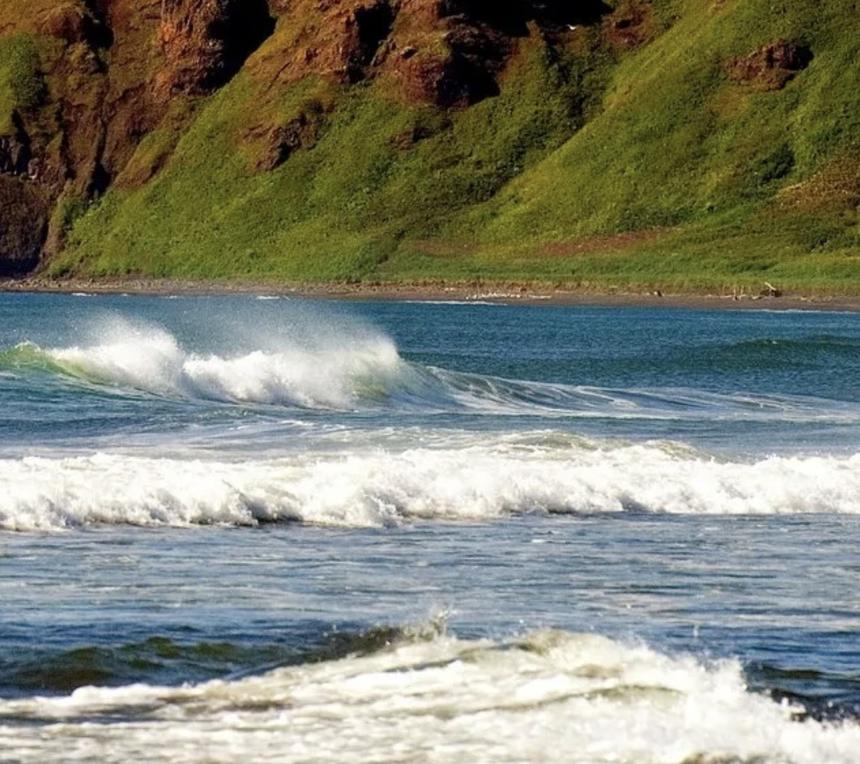 В России создали нейросеть для борьбы с замусориванием пляжей