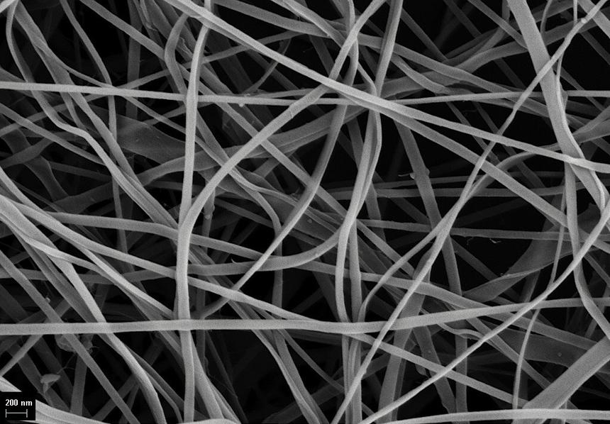 Хитозановые нити под электронным микроскопом