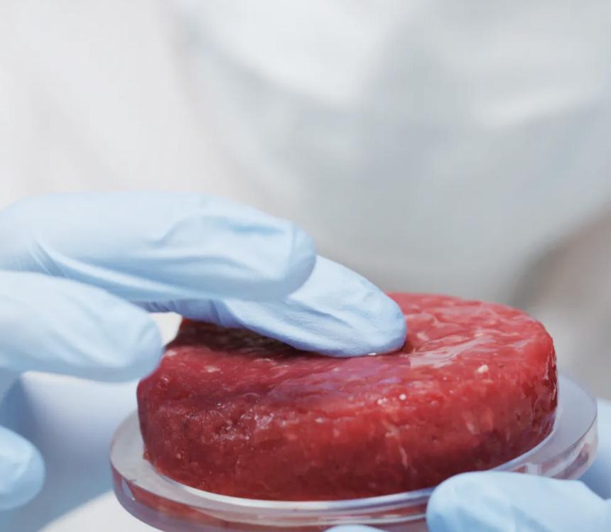 Искусственное мясо оказалось вреднее для экологии, чем натуральное