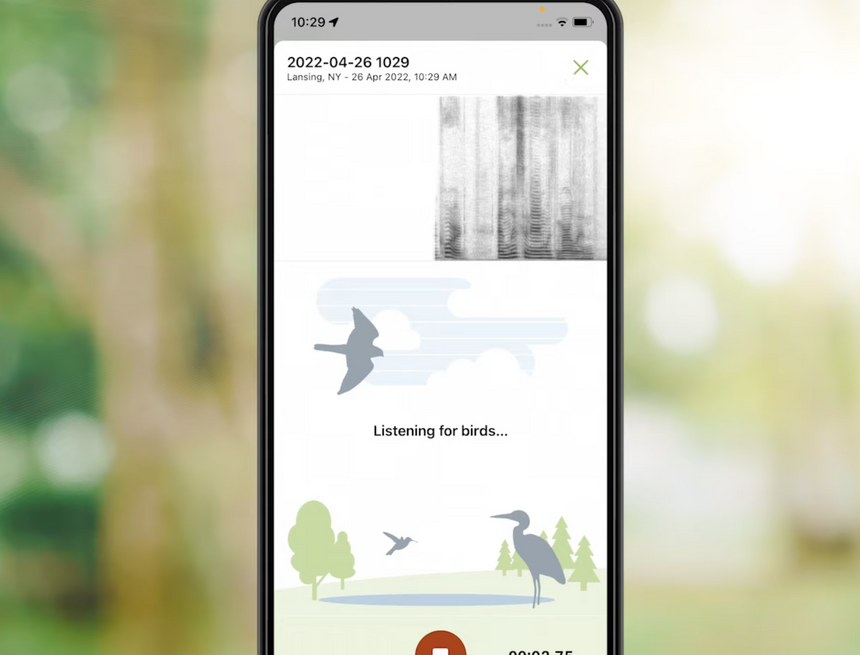 Это приложение позволяет легко определить почти все виды птиц по всему миру