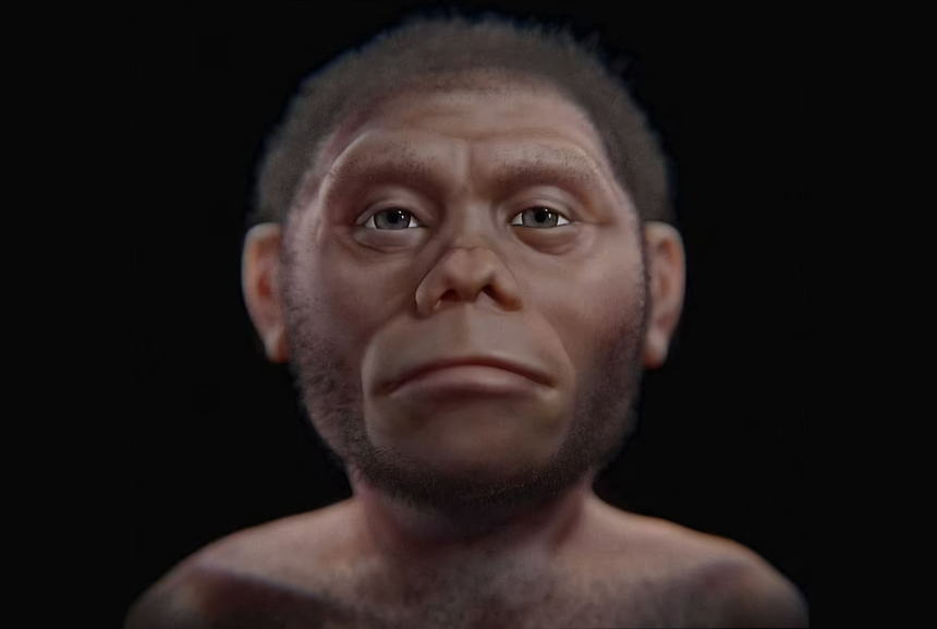 Учёные показали фото древнего «хоббита» и рассказали об их отличиях от человека