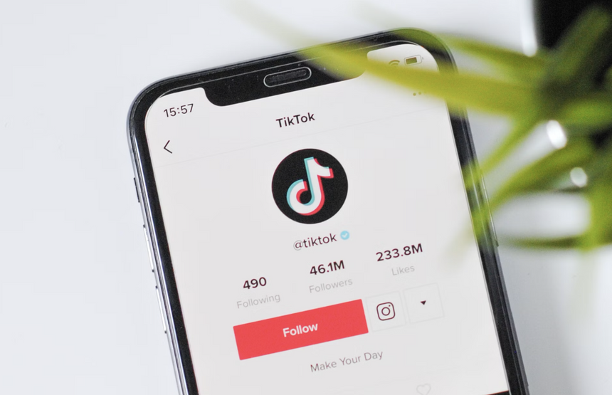 TikTok признался в финансировании иска пользователей против запрета приложения