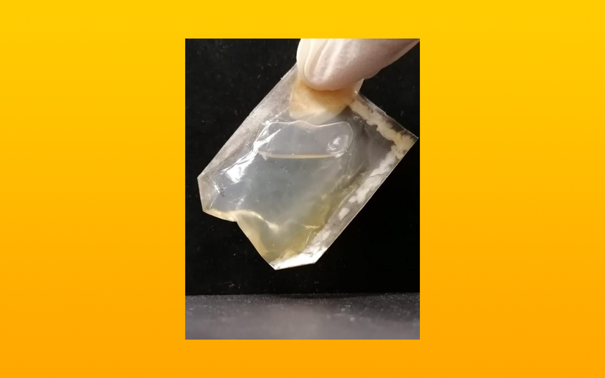 Из бактериальной целлюлозы создали съедобный упаковочный материал