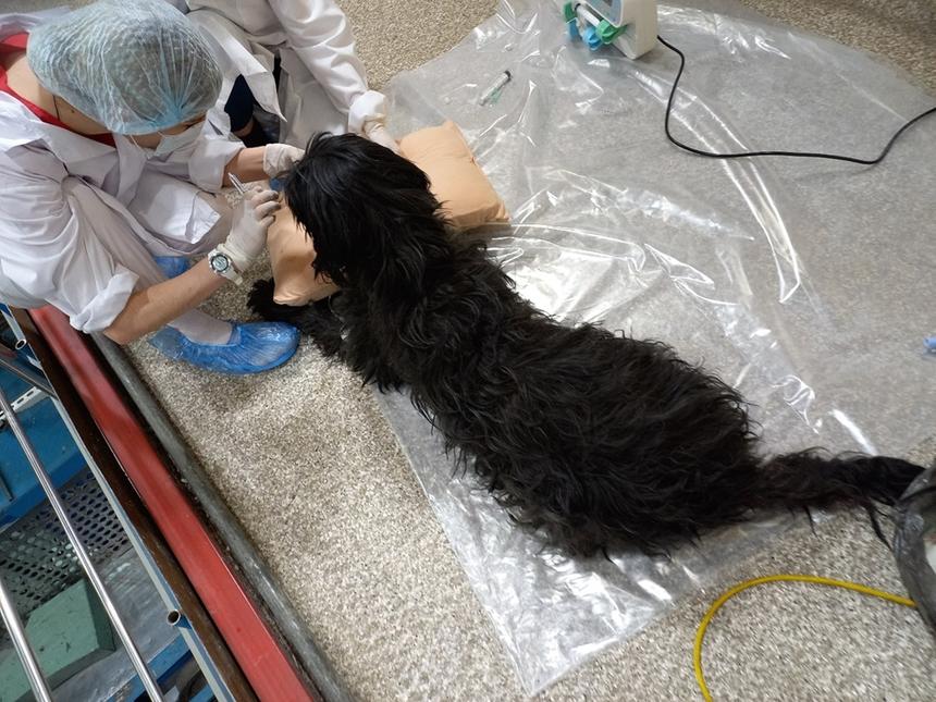 Российский ядерный реактор вылечит от рака 20 домашних животных