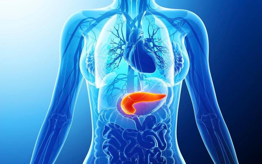 Российский врач назвал первые признаки рака поджелудочной железы