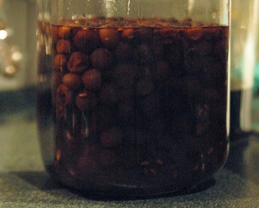 Врач из России назвала вишневую наливку средством против опасного последствия коронавируса