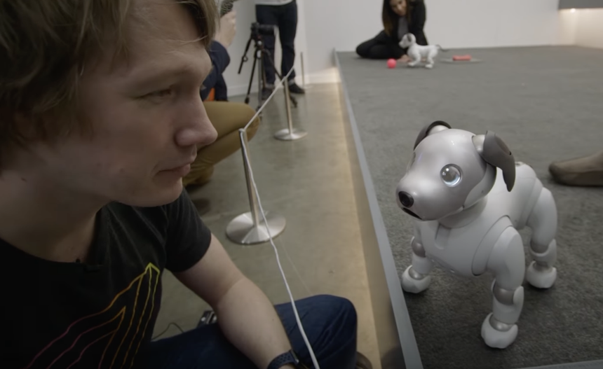 Sony займётся поиском «приёмных семей» для своих робособак