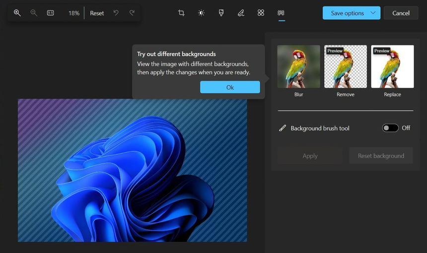 Встроенный в Windows 11 фоторедактор научился удалять и обрабатывать фон на картинках