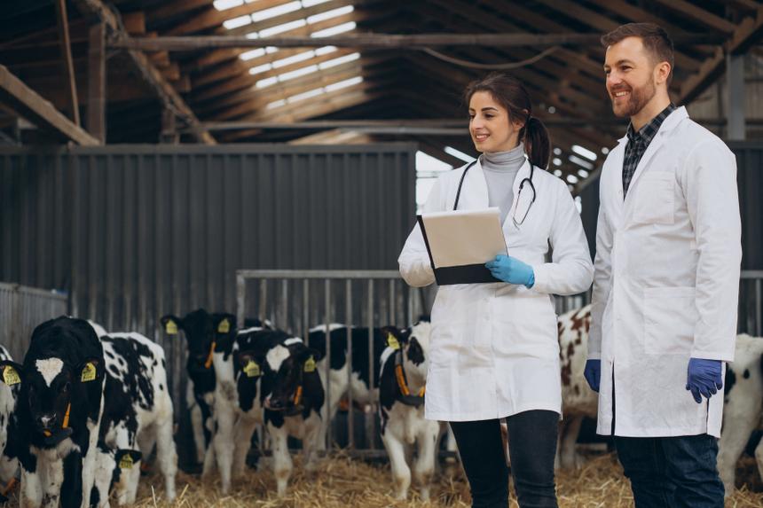 Искусственное мясо и альтернативный белок: есть ли у России план на случай всемирного голода