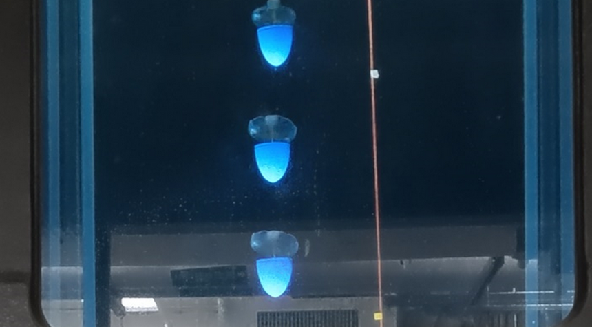 В США создали медузу-киборга с обтекателем для большего ускорения