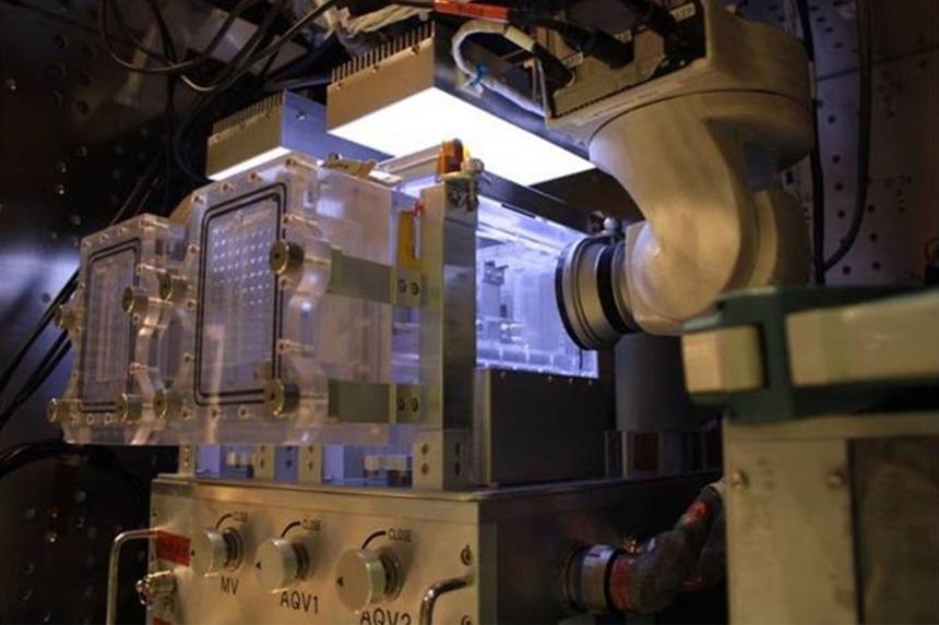 Космический аквариум-AQH в модуле «Кибо»