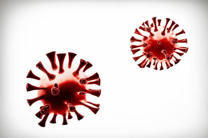 Эпидемиолог рассказал, зачем на ВЭФ обсуждали идею подготовки к некой «болезни Х»