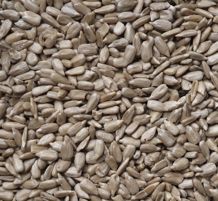 Врач рассказала о пользе семечек для профилактики болезни Альцгеймера