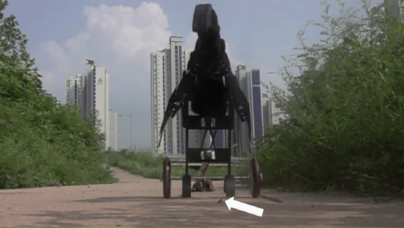 Перья у динозавров были для охоты: ученые создали робота для проверки теории