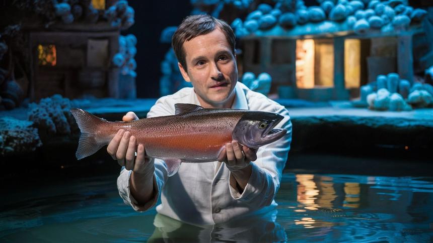 Чтобы у вас было, чем лакомиться: ученые озадачились местами обитания лосося