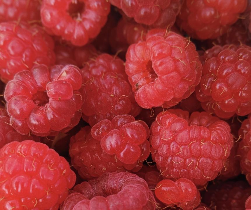 Врач назвала составляющую здорового питания, защищающую от болезней сердца и рака