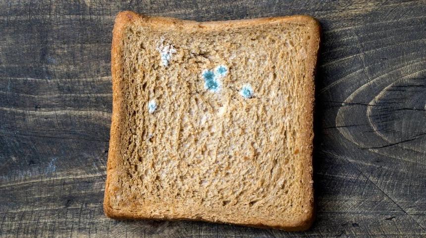 Гастроэнтеролог назвала покрытые плесенью продукты ядами, вызывающими рак