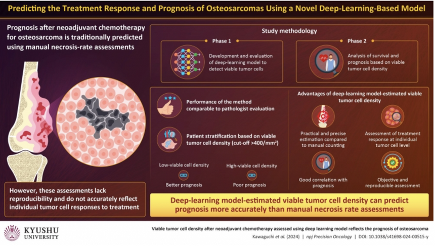 Ученые создали ИИ для оценки выживших клеток опухоли при раке костей
