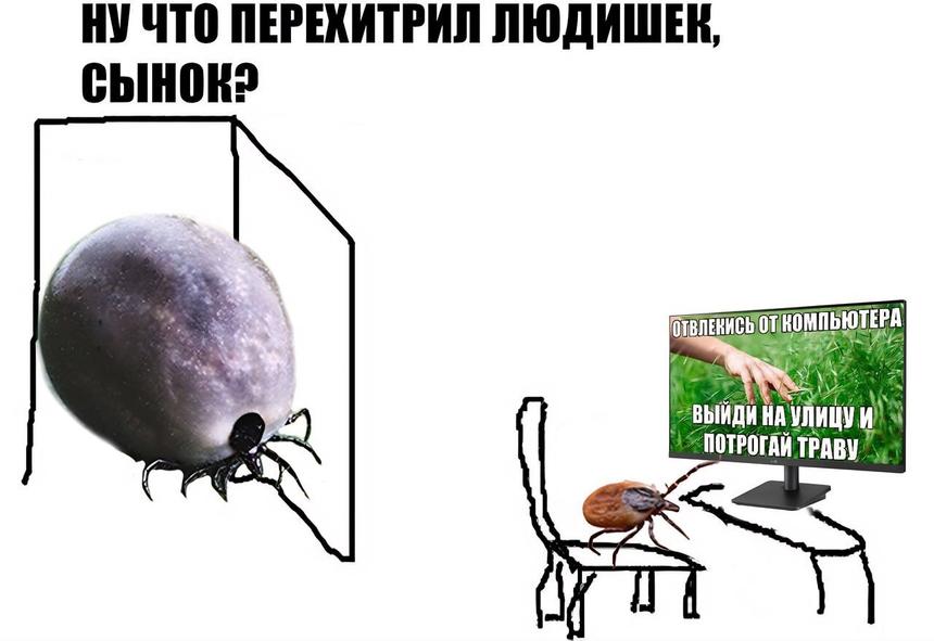 Заболевшие клещевым энцефалитом здоровье не вернут, но теперь есть средство, чтобы вы им не заболели