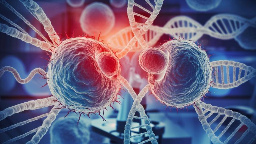 Ученые отследили «удвоение» в происхождении раковых клеток