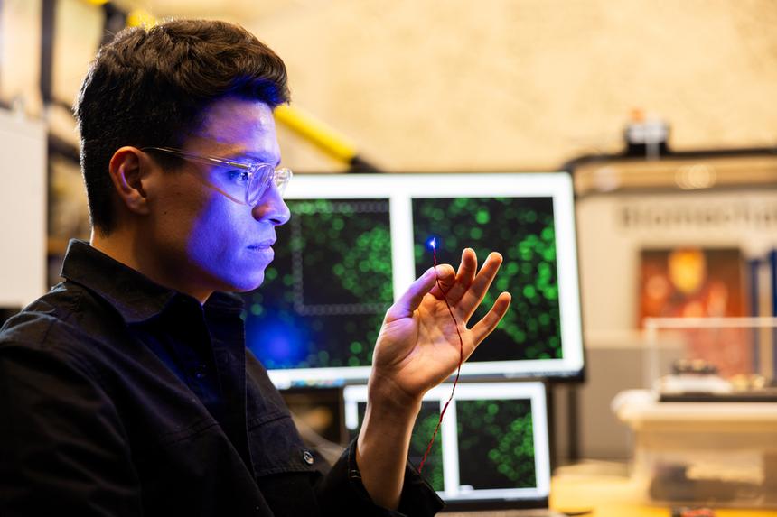 Ученые разработали метод контроля мышц с помощью света