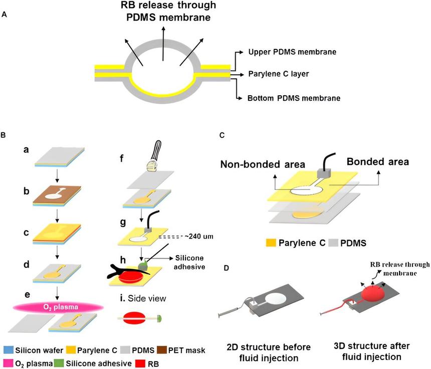 Корейские ученые разработали имплант для доставки лекарств