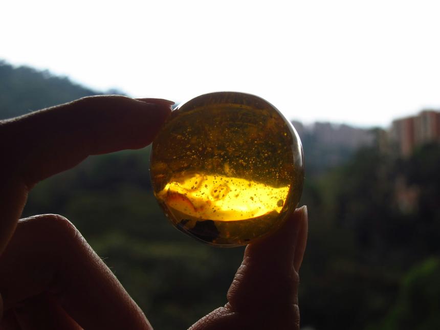 Учёные из Калининграда разработали технологию проверки янтаря на подлинность