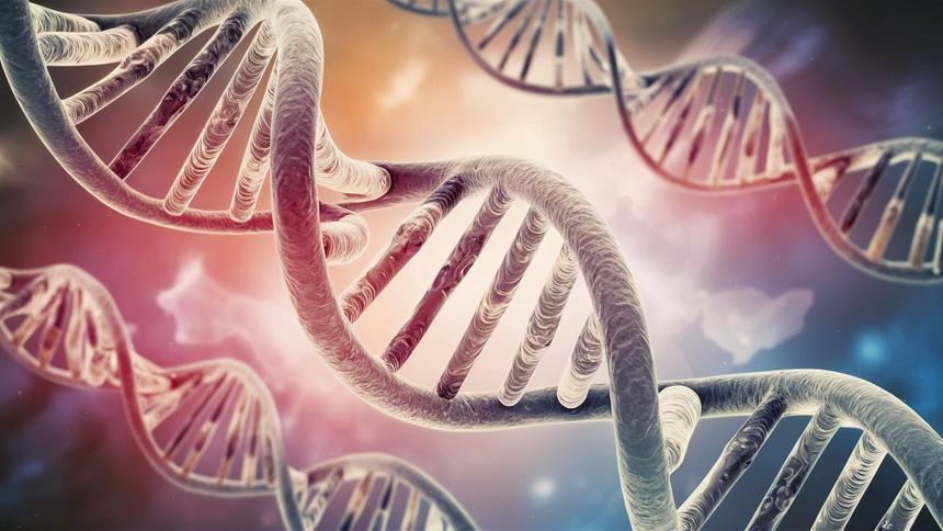 Новая технология моделирования ДНК ускорит биомедицинские исследования