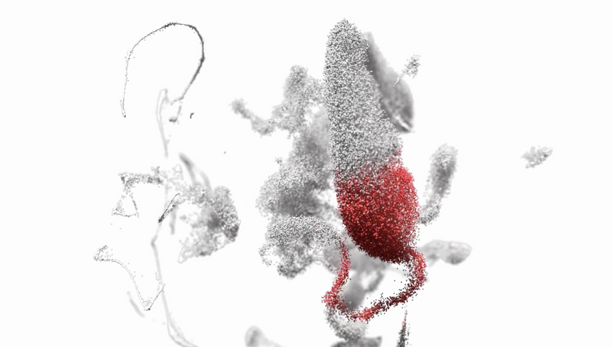 Создана карта клеточных процессов после травмы спинного мозга