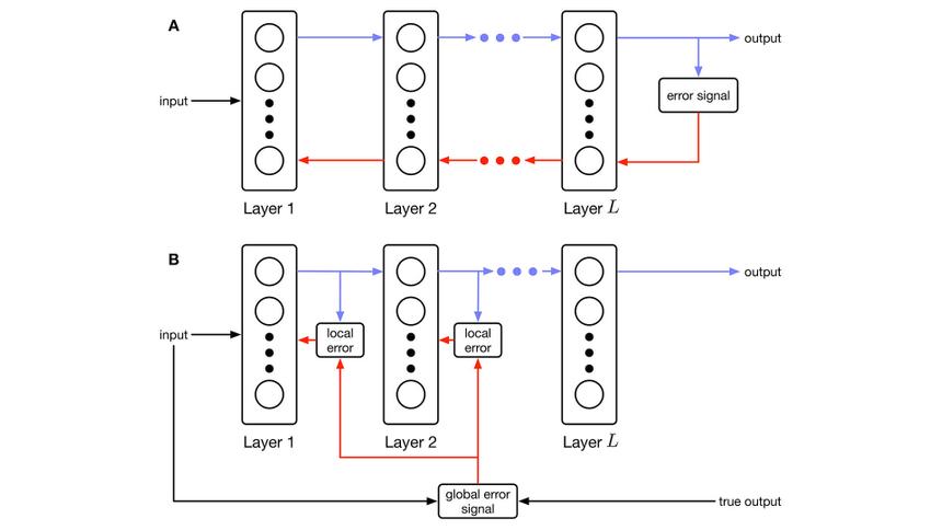 ИИ научился обрабатывать информацию подобно человеческому мозгу