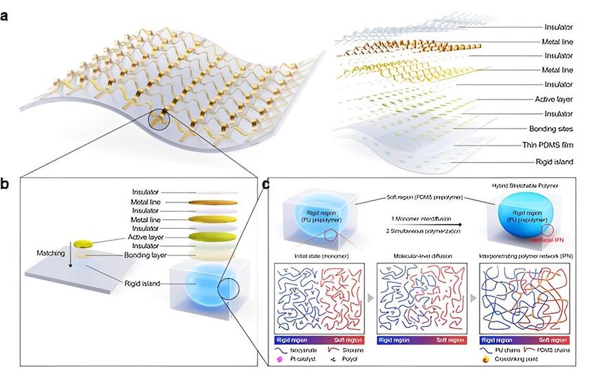 Ученые создали новый растягивающийся электронный компонент