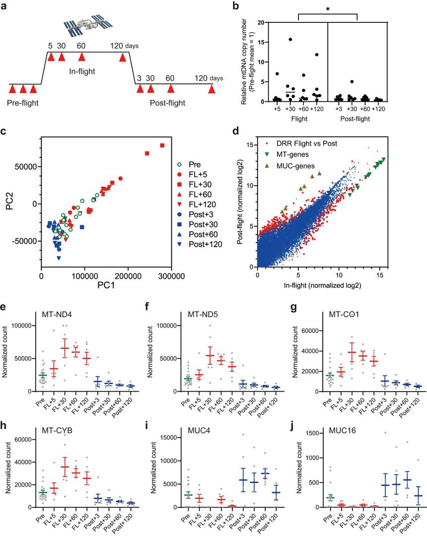 Ученые нашли новые реакции организма на невесомость