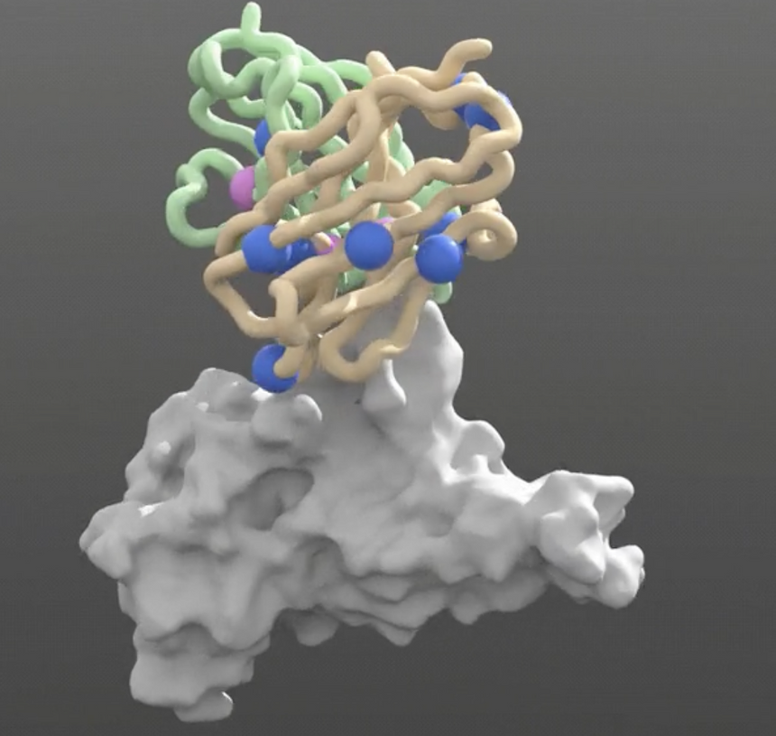 Ученые создали новый метод разработки лекарств с помощью ИИ