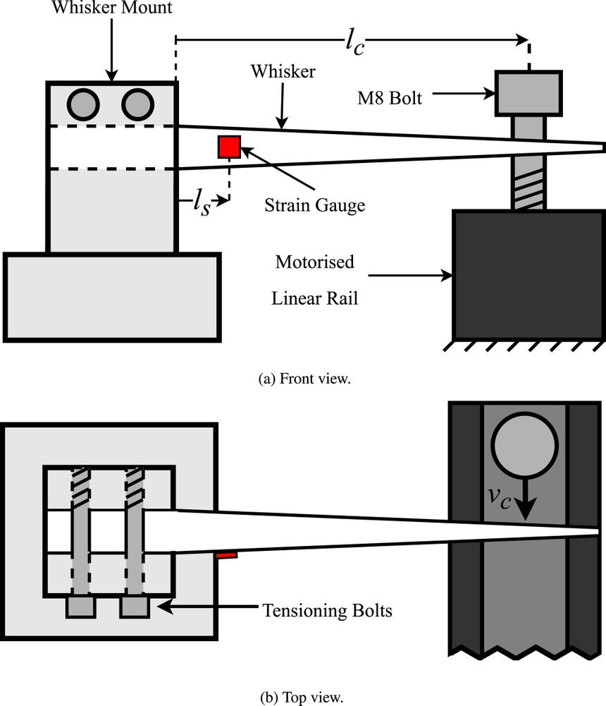 Ученые разработают чувствительные «усы» для роботов