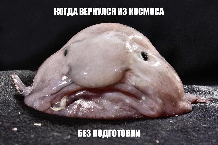 10 новых российских технологий для космоса, до которых не додумался даже Маск