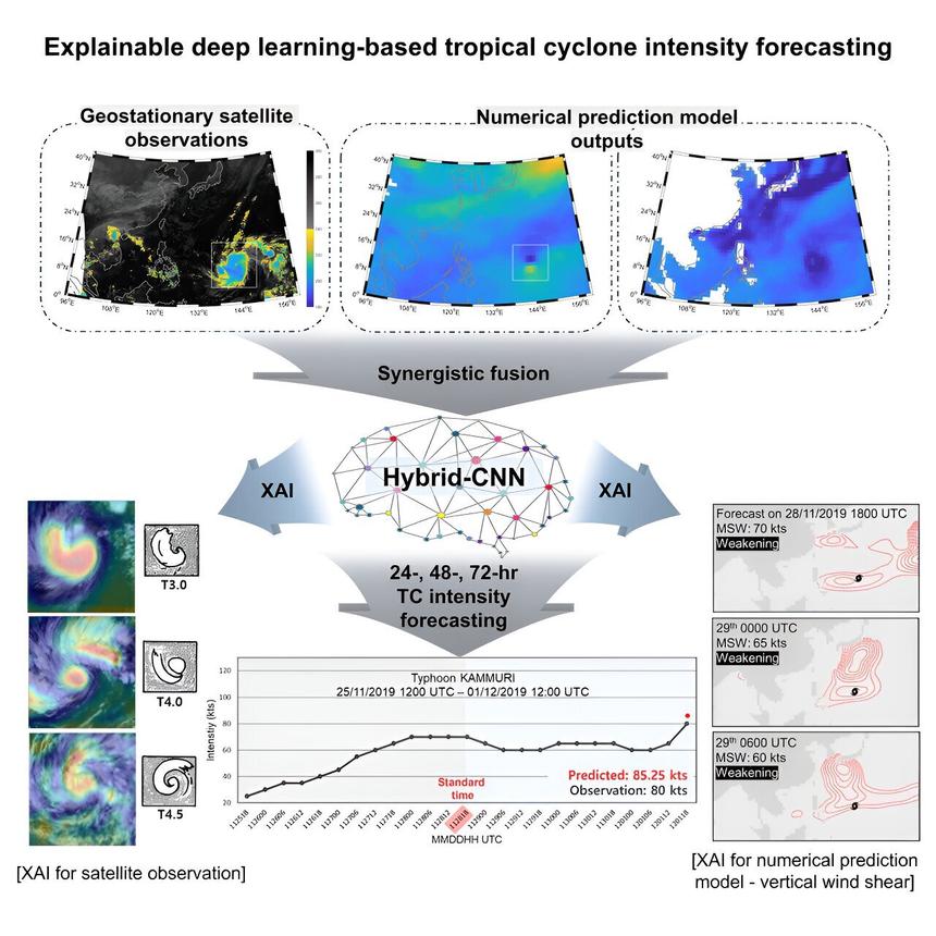 ИИ поможет ученым предсказать точный путь тайфуна